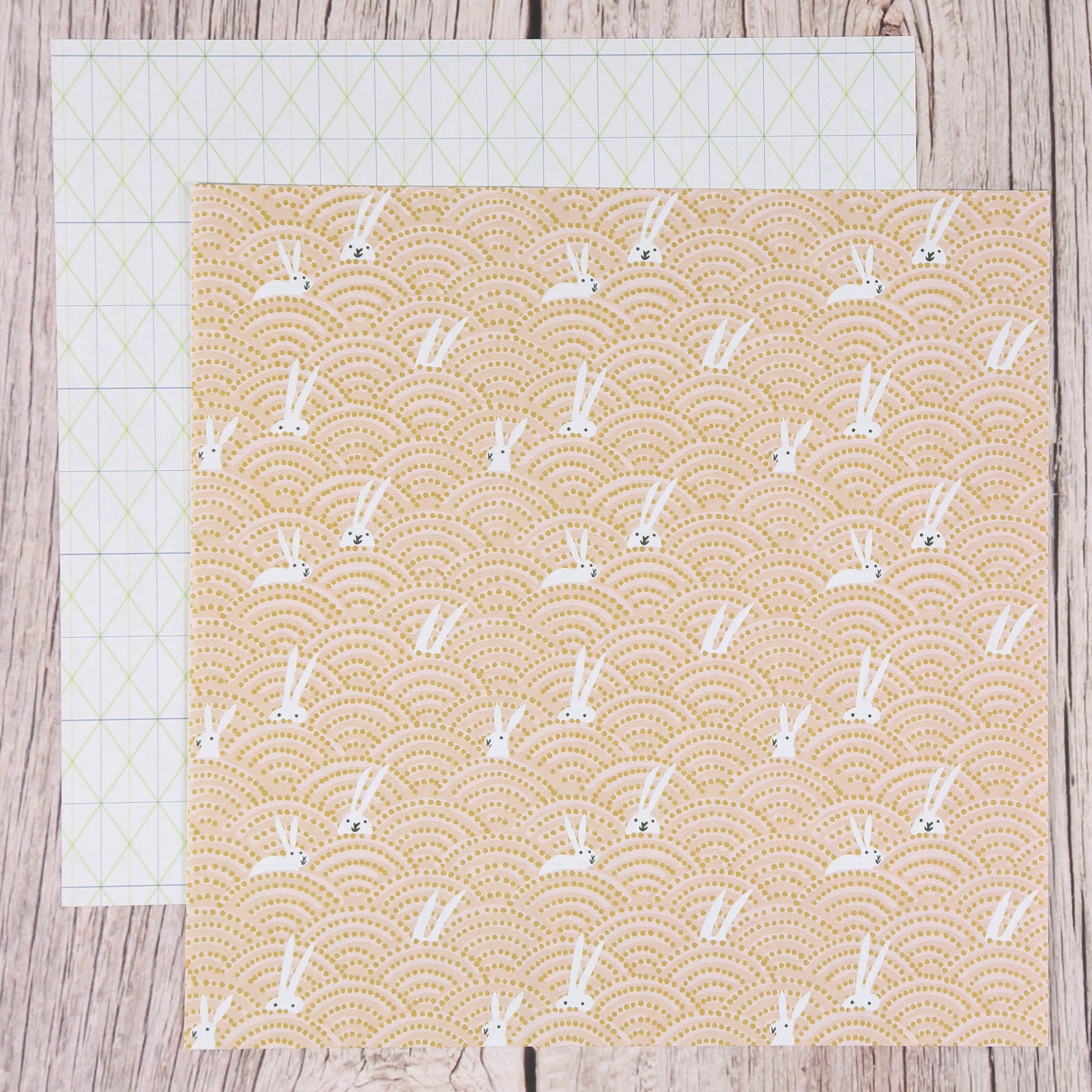 Origami/Muster-Papier "Bunny Hop" 15x15cm (50 St.)