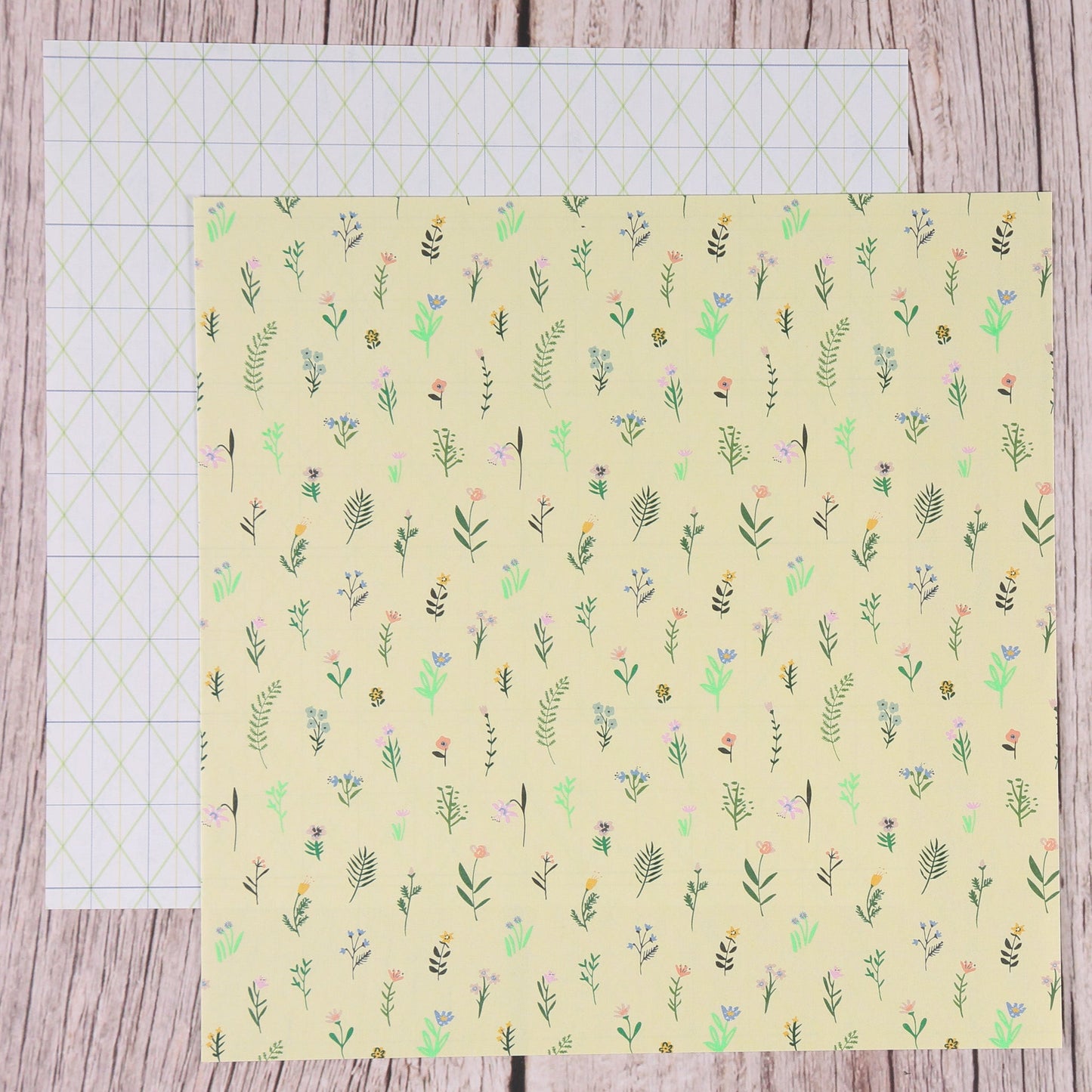 Origami/Muster-Papier "Bunny Hop" 15x15cm (50 St.)