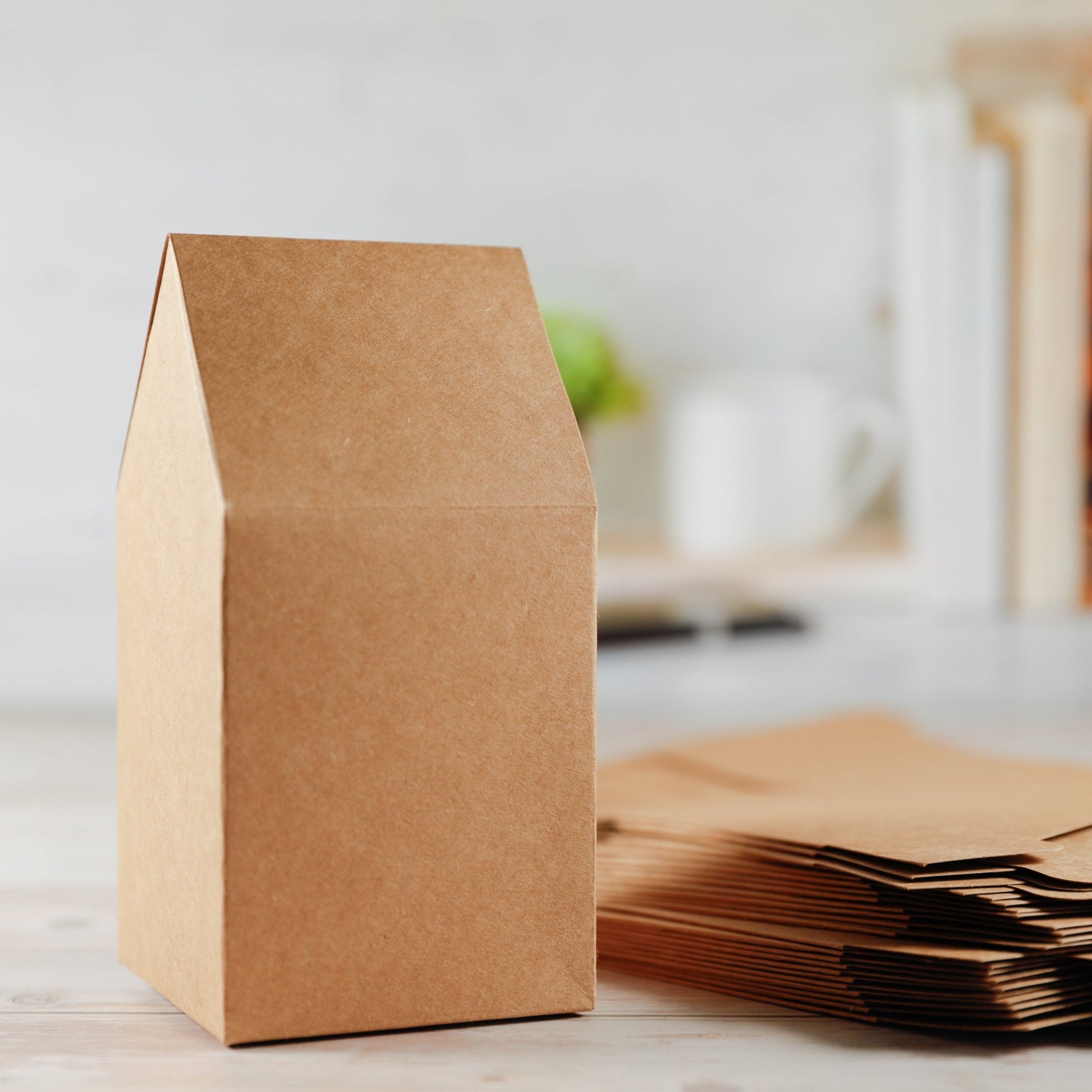 Papphäuser (24 Stück) Kraftpapier