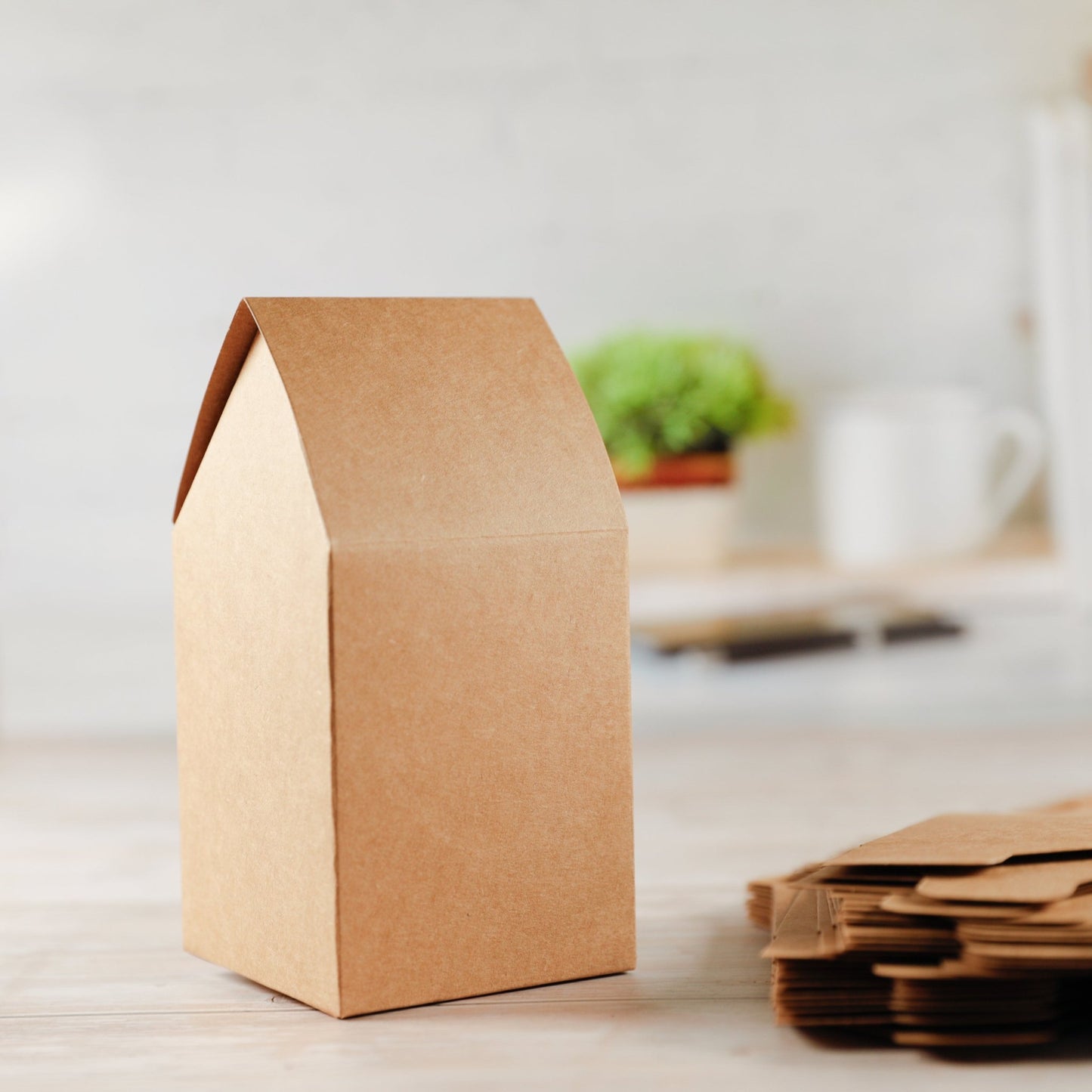 Papphäuser (24 Stück) Kraftpapier