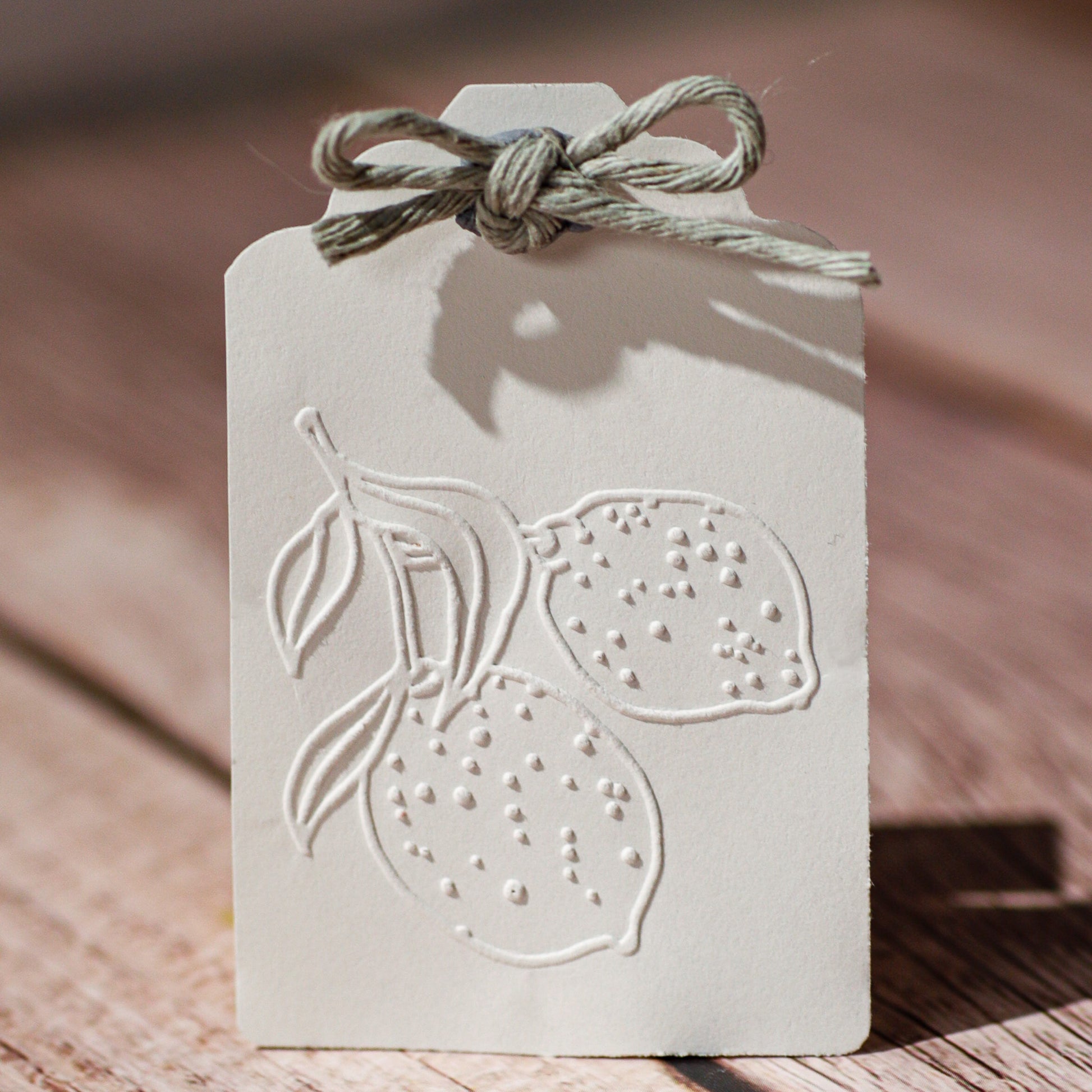 Prägestempel „Zitronenzweig" mit zwei Zitronen und Blättern, ca. 40 × 40 mm, für Karten und Geschenkanhänger