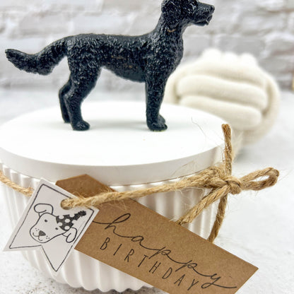Stempel Geburtstagshund - IN LOVE WITH PAPER